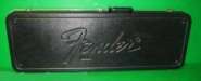 fender case 2.jpg