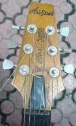 DSC00246.jpg