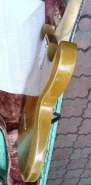 DSC00247.jpg