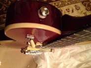 IMG_0263_1.jpg