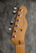 fender_tele96_02.jpg