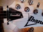 IMG_20130325_091326.jpg