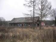 shop799-1.jpg