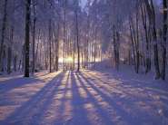 Winter Sunset, Alaska2.jpg