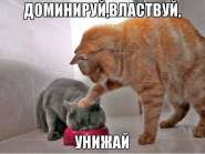 ���.jpg