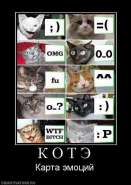 745834_k-o-t-e.jpg