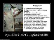 137015_kupajte-kote-pravelno.jpg