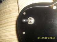 SDC10199.jpg