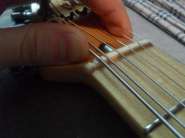 SDC10209.jpg