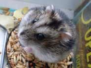 SDC10662 - �����.jpg