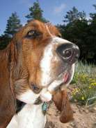 ���� 29,07�.jpg