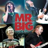 mrbig-btb2.jpg
