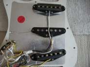 DSCN9063.jpg