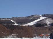 DSC01982.jpg