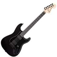 jim-root-stratocaster[1].jpg