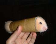 hamster4.jpg