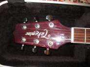 GIBSON CS 033.jpg