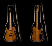 Carvin_tl60.jpg