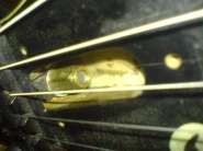 DSC00786.jpg