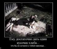 d5d85291391cb6bed3616e362d7_prev.jpg