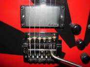 DSC01734.jpg