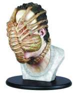 3855alien-face-hugger-bust.jpg