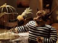 ������ ���� � �������.jpg