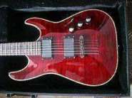1_SCHECTER_C_1_HELL.JPG