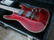 2_SCHECTER_C_1_HELL.JPG