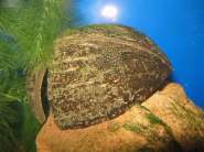 ����� IMG_1141.JPG