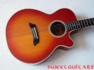 Takamine_PT_106.jpg