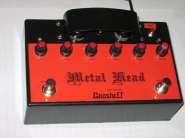 Metal Head_100.jpg