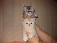 ��������� 019.jpg