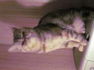 ������� 006.jpg