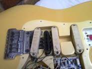 F.strat83 Elite-10.jpg