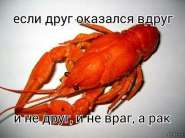 971f96e0938ffeac396cd17c4be3bca3.jpg