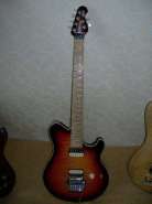 DSCN9511.jpg