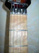 DSCN9517.jpg