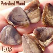 �������� ��������.jpg