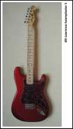 7Bill Lawrence Swampkaster S.jpg