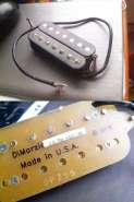 Dimarzio_TONEZONE.jpg