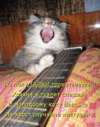 ���_.jpg
