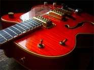 Gretsch Br. Setcer-8.jpg