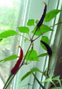 �� ����.jpg