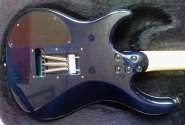 DSC00132.jpg