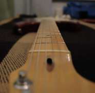 DSC_8865.jpg