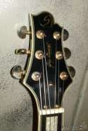 Продам Greg bennet JZ2 (Новосибирск) 550559-3