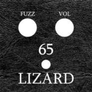 lizard65.jpg
