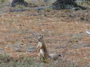 DSC05283.jpg