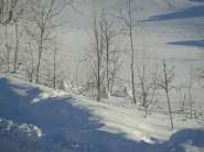 DSC06262.jpg